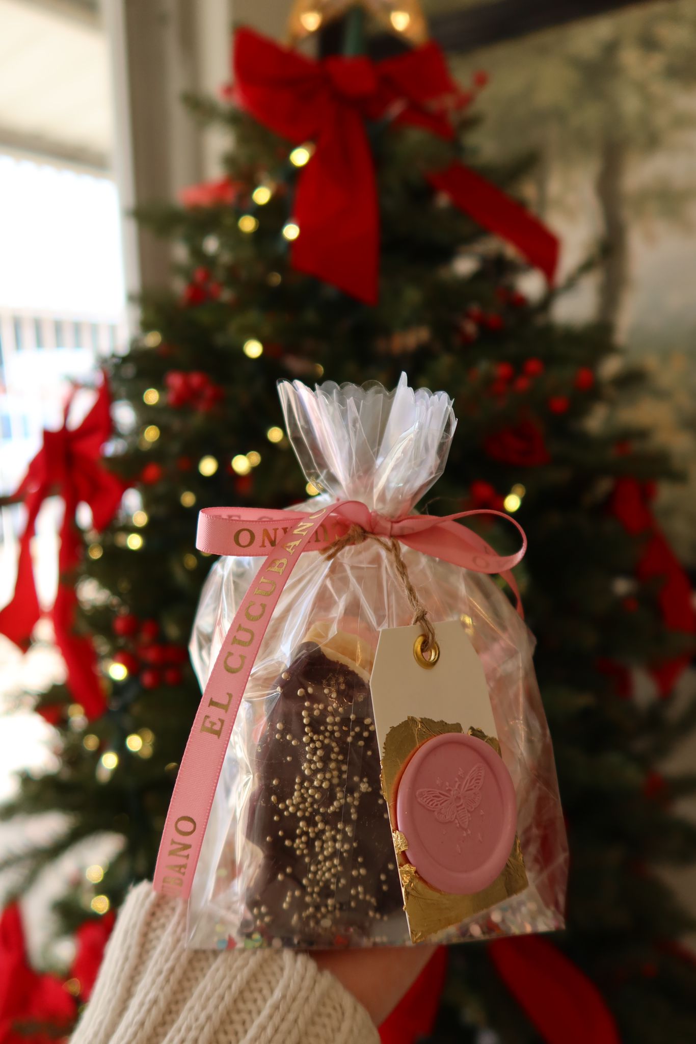 Cookie Sandwich Gift Bag